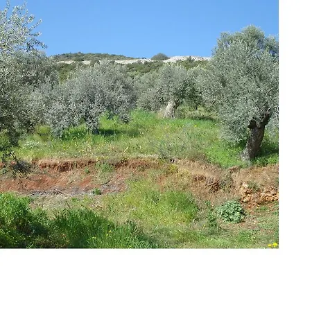 Athina Ecofarm Apartment Epidaurus Exterior photo