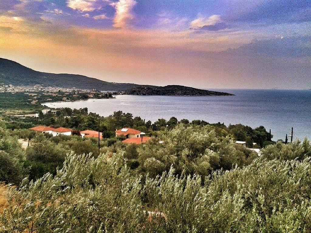 Apartment Athina Ecofarm Epidaurus